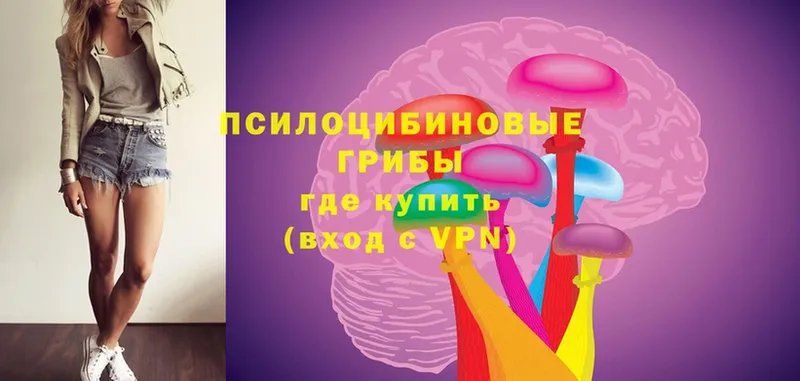 Галлюциногенные грибы Psilocybe Усолье